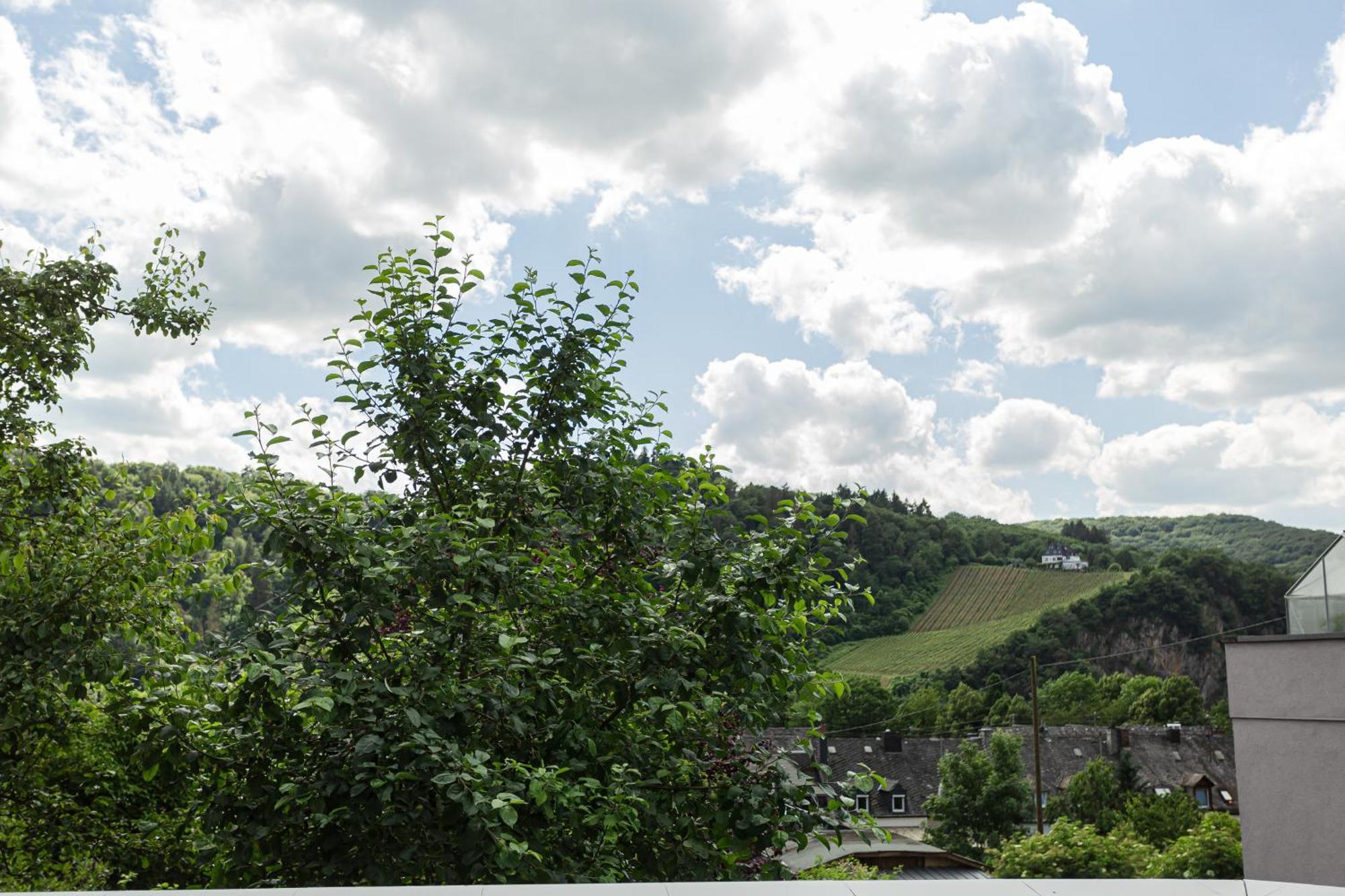 Luxusferienwohnung Moselruhe Bullay Mit Grosser Terrasse Und Schoenem Ausblick Esterno foto